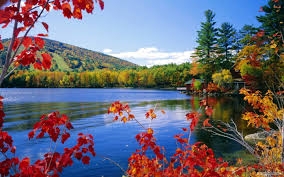 Nature....