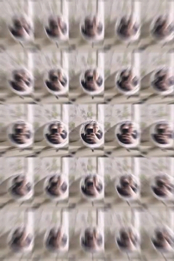 обои