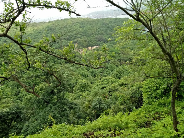 Nature Beautiful Green mountain in Mumbai