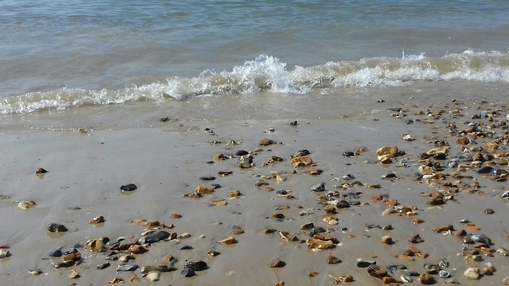 a small wave