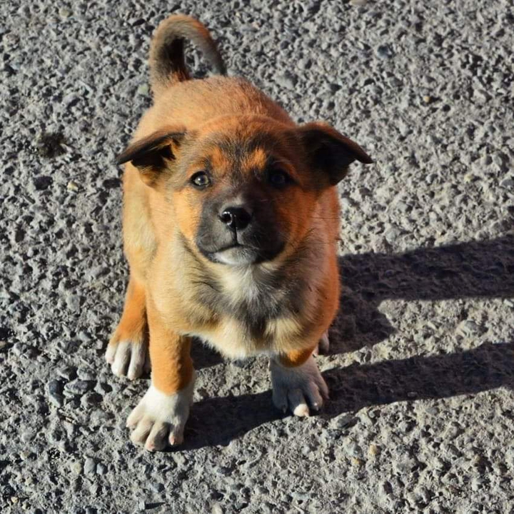 cutey