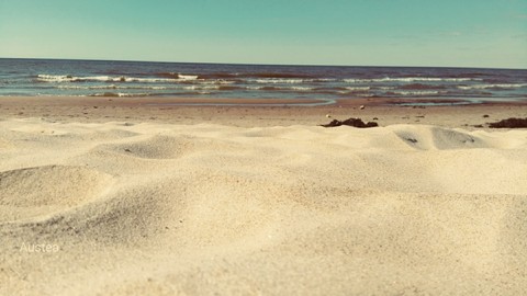 Sea
