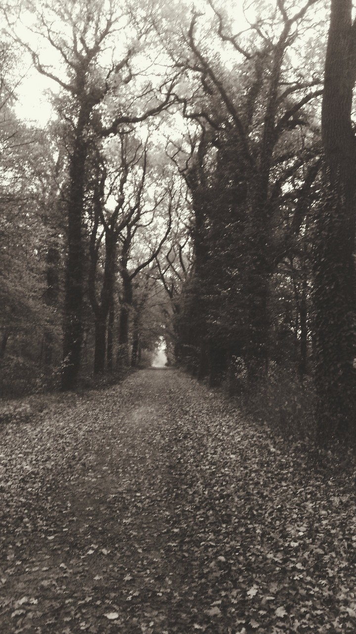 Melancholie / melancholy
