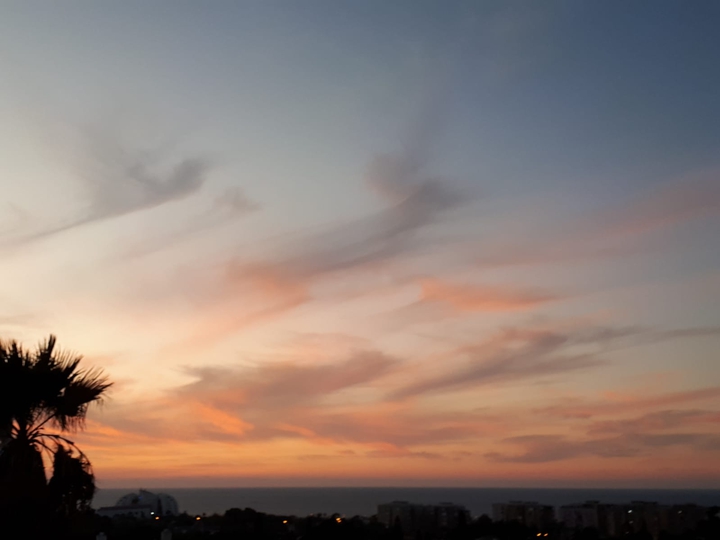 #sunset