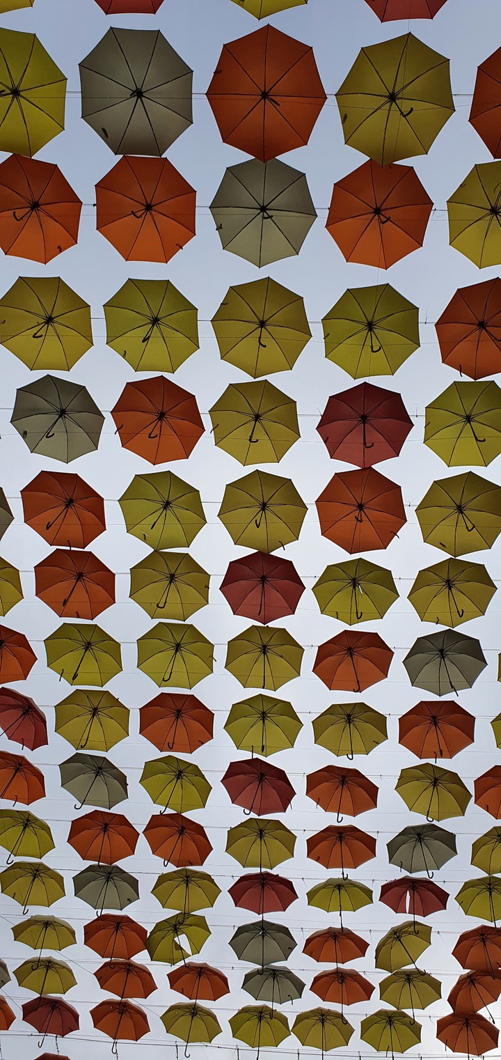 Umbrella covering sky