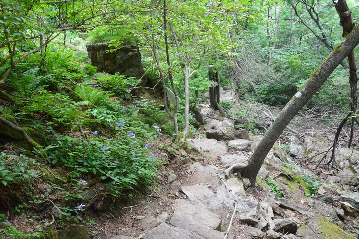 지리산이미지