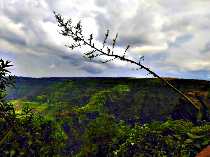 Nature
