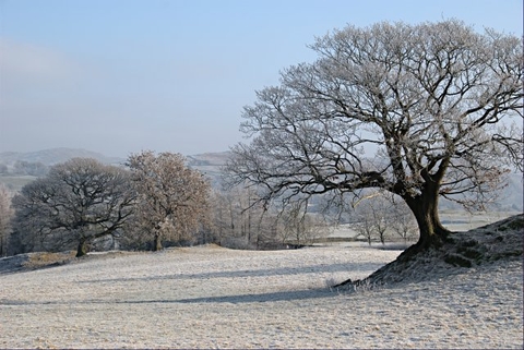 English winter