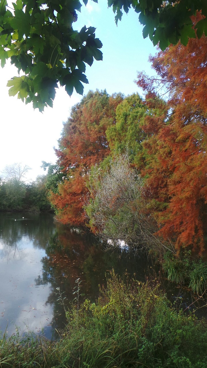 Autumn