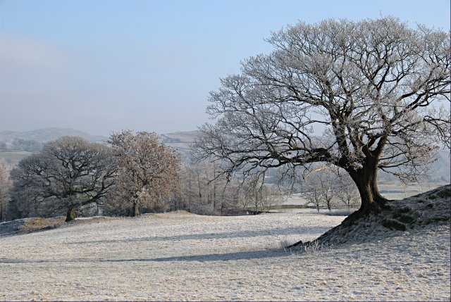 English winter