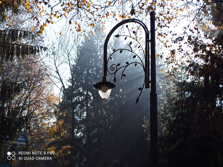 picture lampa