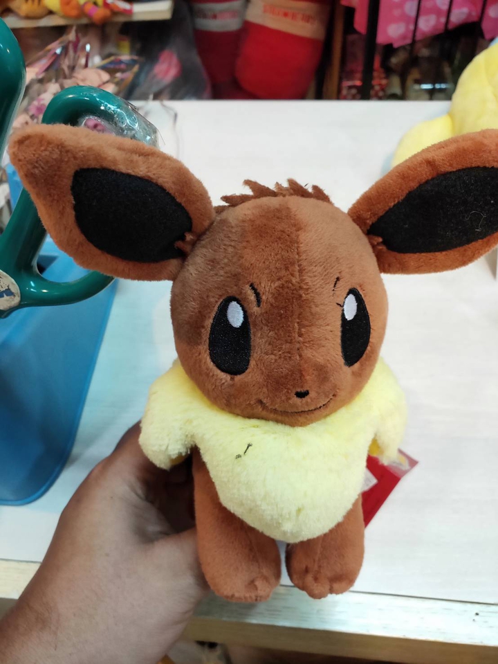toy
