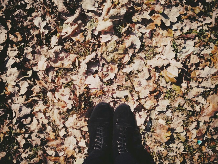 autumn every day❤