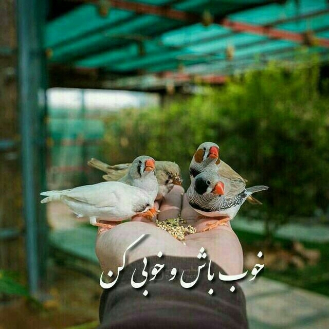 ?????✔✔✔✔✔✔✔