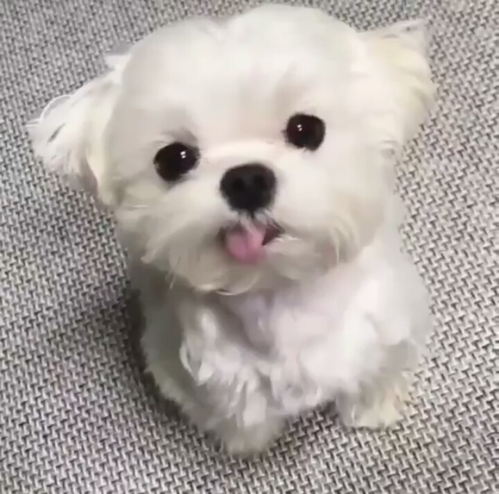 **