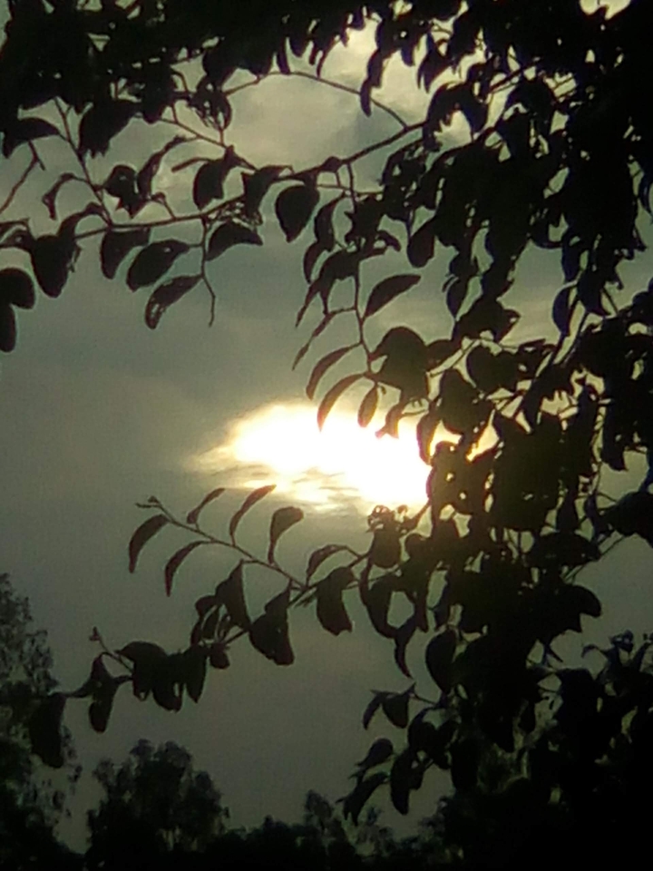 ☀ sun