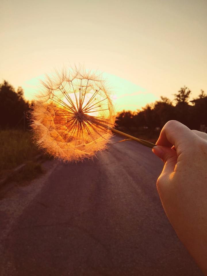light the sky