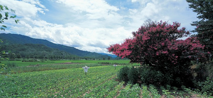 풍경