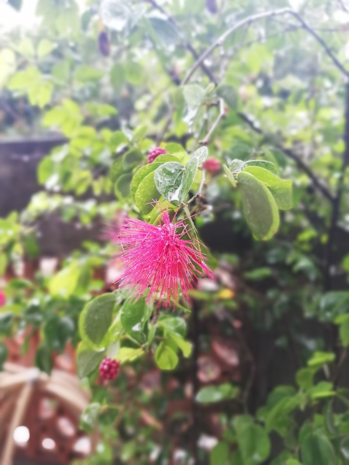 After raining