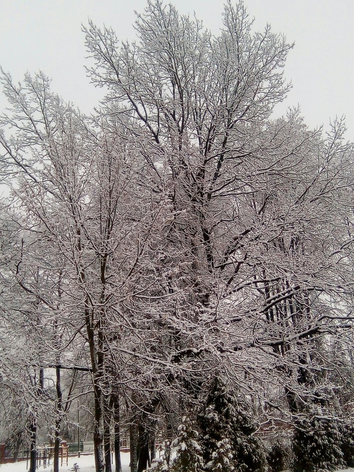 winter зима