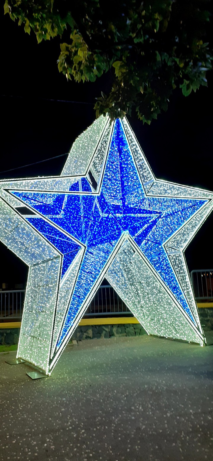 Estrella de Navidad