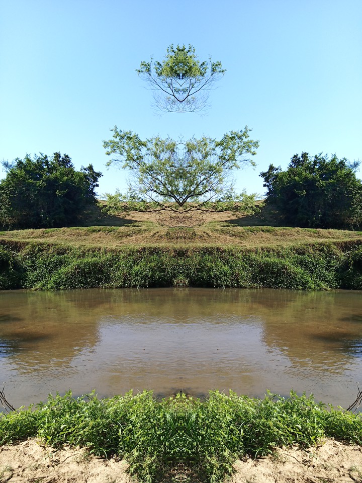 Espejo