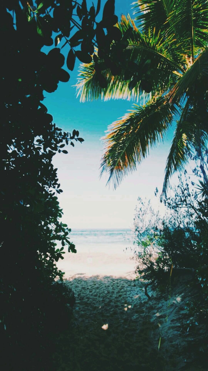 Sea