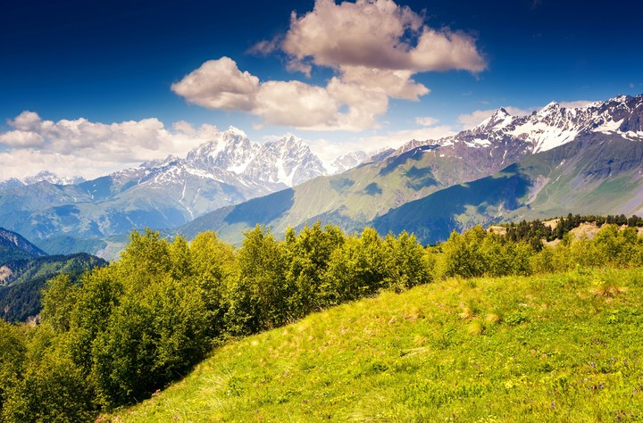 4K Nature Wallpaper