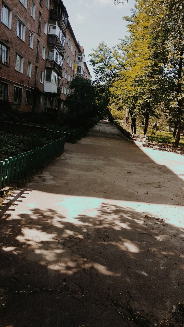 мой двор