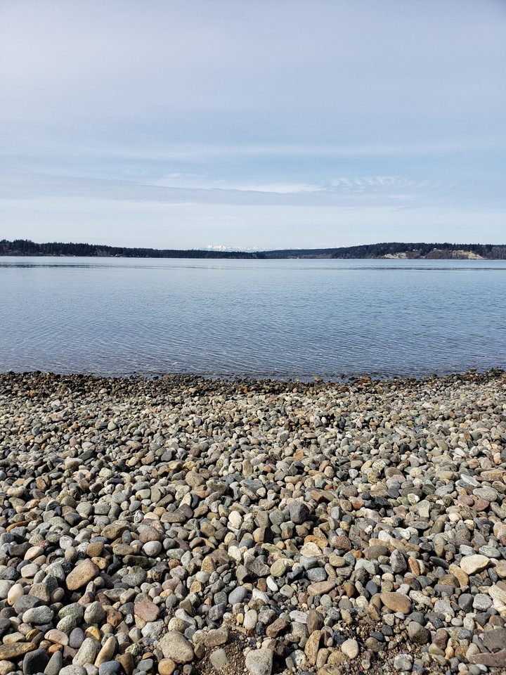 rocky beach