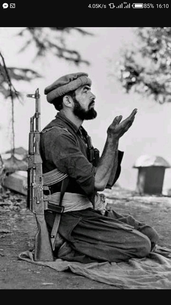 Mujahid