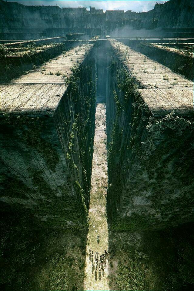 The Maze Runner