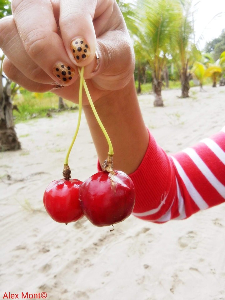 fruta 