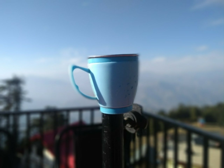 The cup