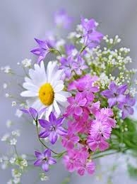Flor