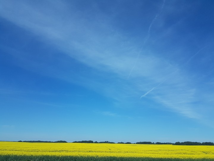 Blue and Yellow