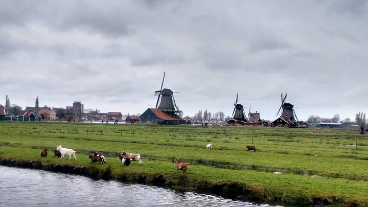 Zaanse Schaans