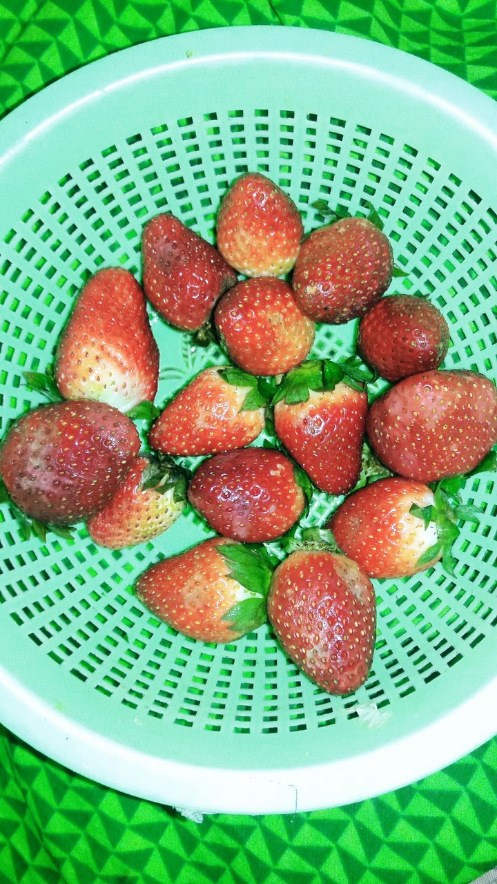 strawberry pic