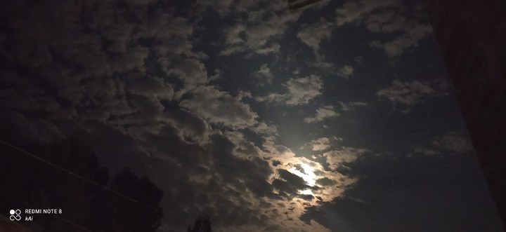 talking to the moon