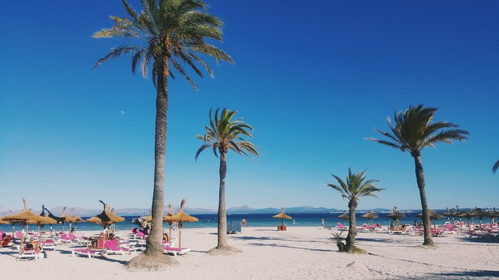 Palma