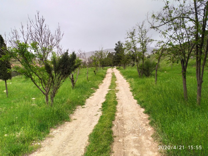 طبیعت گردی