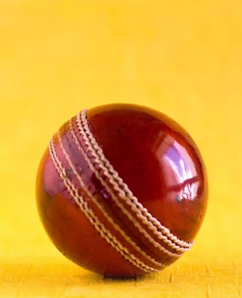 love cricket