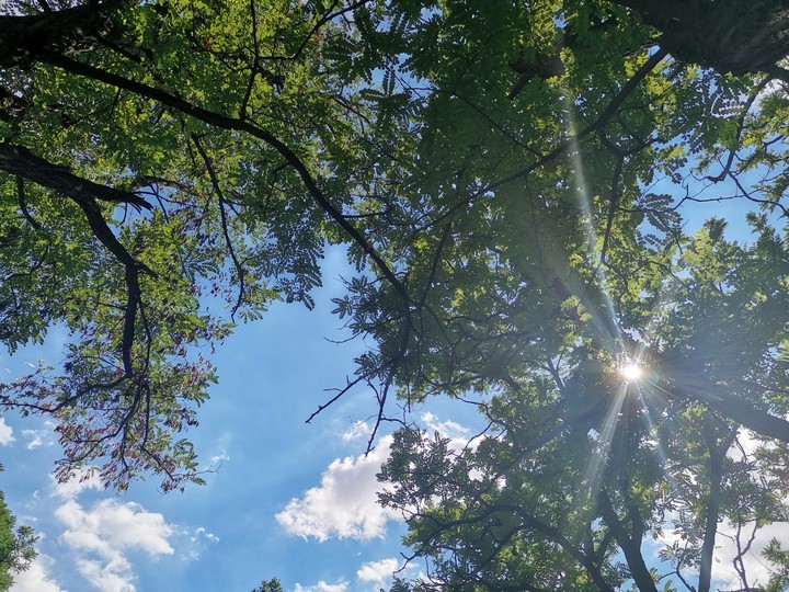 Summer days and sun rays