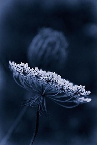 Beautyful?