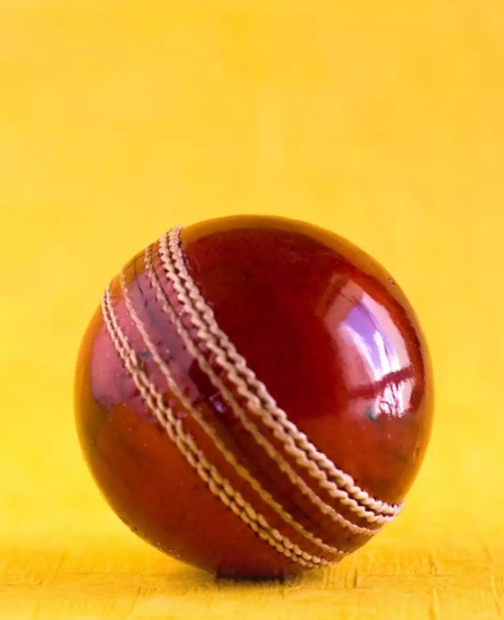 love cricket