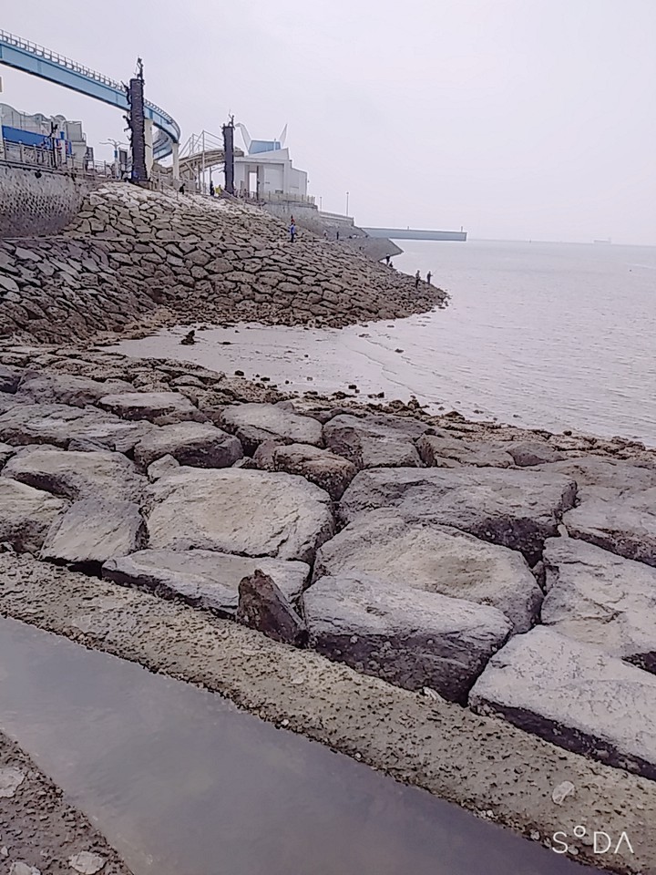 바다