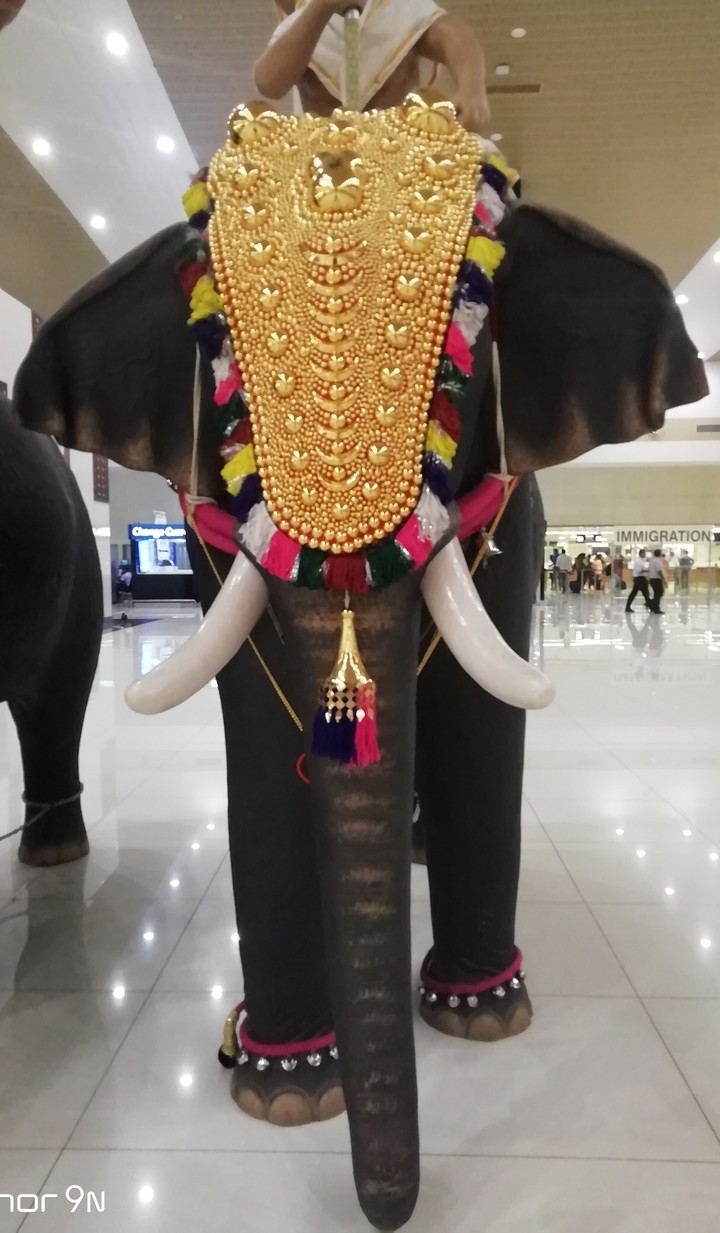 Elephant