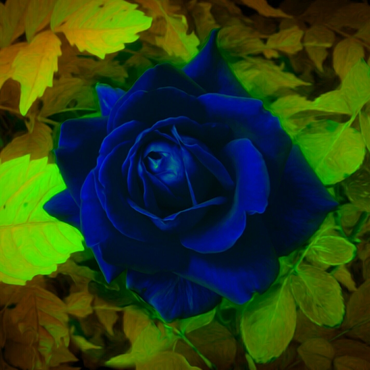 Flor235