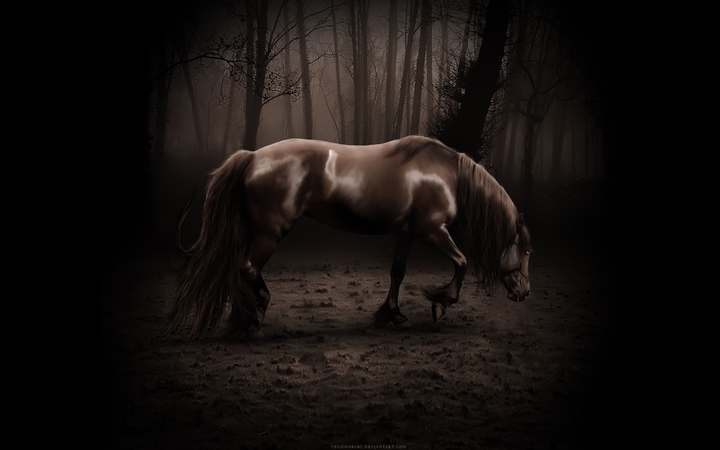 horse