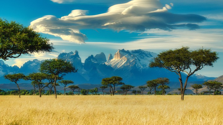 nature